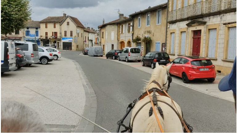De retour d’une activité découverte autour de l’équitation de pleine nature